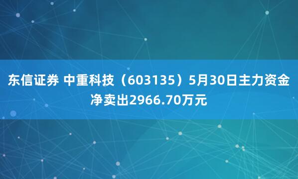 东信证券 中重科技(603135)5月30日主力资金净卖出2966.70万元