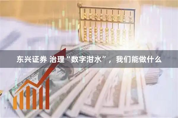 东兴证券 治理“数字泔水”，我们能做什么
