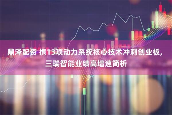鼎泽配资 携13项动力系统核心技术冲刺创业板, 三瑞智能业绩高增速简析