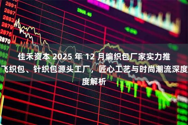 佳禾资本 2025 年 12 月编织包厂家实力推荐：飞织包、针织包源头工厂，匠心工艺与时尚潮流深度解析